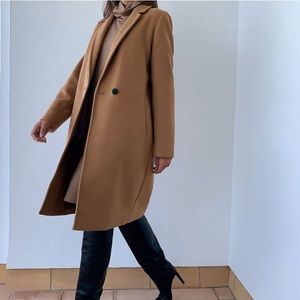 Aritzia Steadman Coat